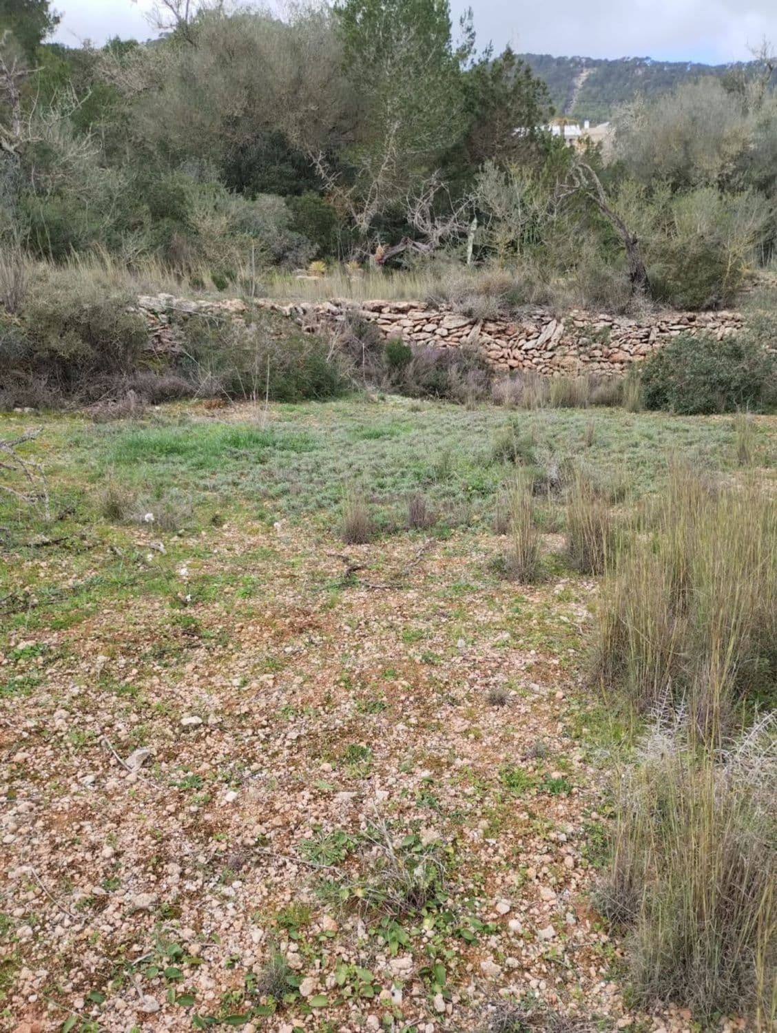 Terreno rural en venta en Sant Josep