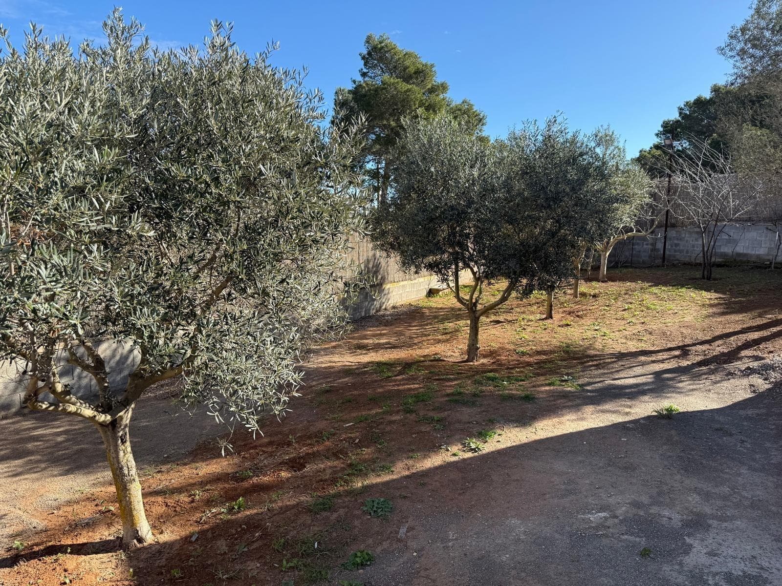 Solar de 1.518 m² con dos construcciones en Sant Agustí des Vedrà