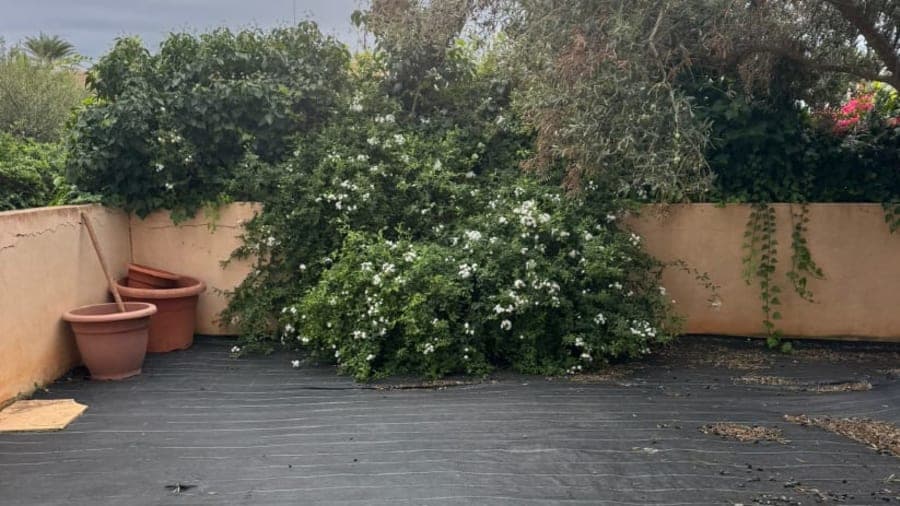 EN VENTA PLANTA BAJA PLAYA DEN BOSSA